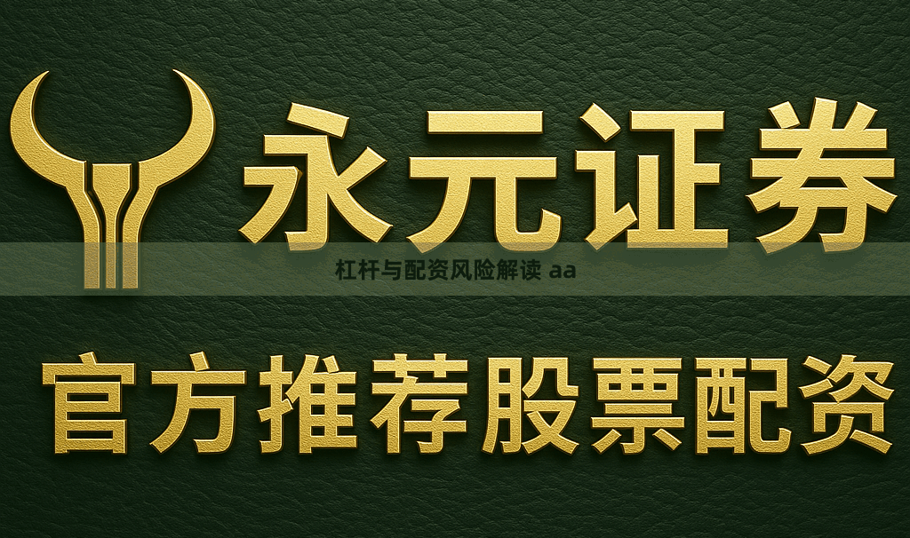 杠杆与配资风险解读 aa